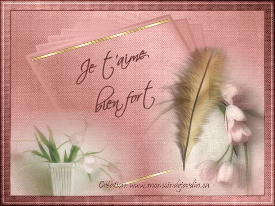 cartes st valentin mon coin de jardin