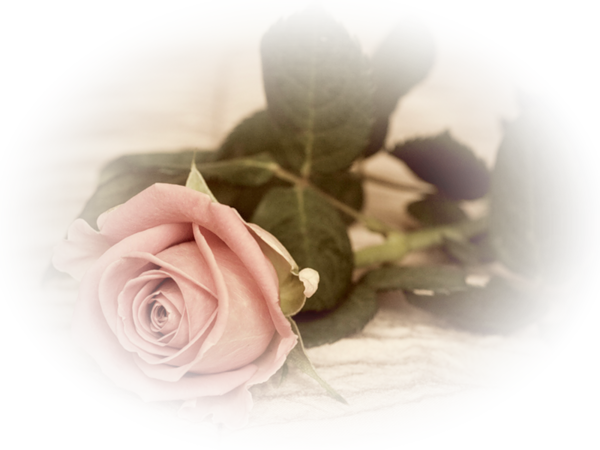 massage naturiste pigalle Wasquehal massage naturiste pigalle Wasquehal