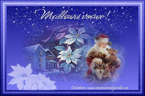 Cartes Virtuelles Mon Coin De Jardin