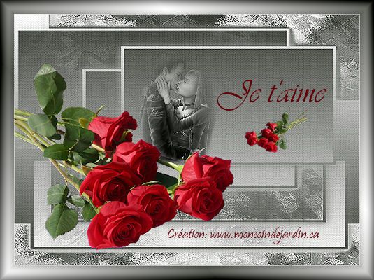 cartes st valentin mon coin de jardin